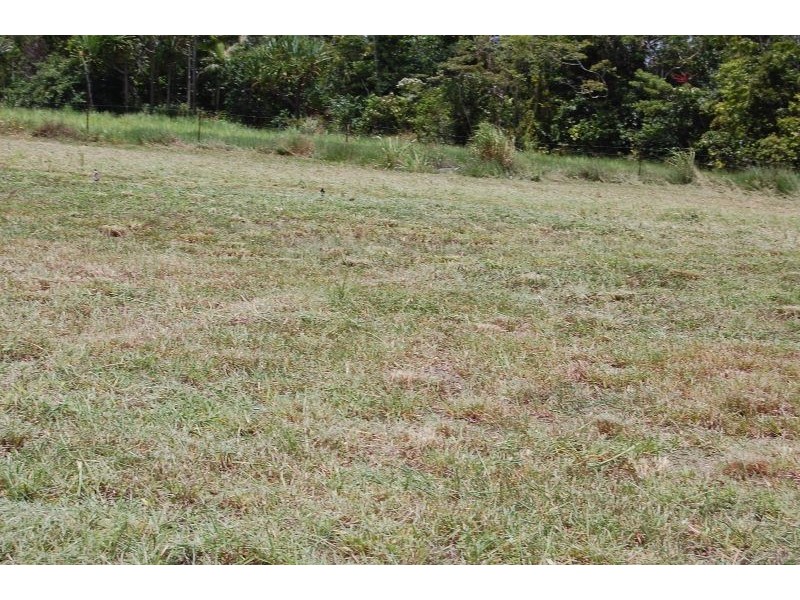 27 Lychee, Etty Bay QLD 4858