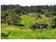 Woopen Creek QLD 4871