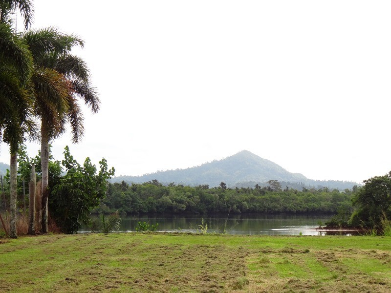 Lot 57 & 49, 49 Corinda Street WebbQLD 4860, East Innisfail QLD 4860