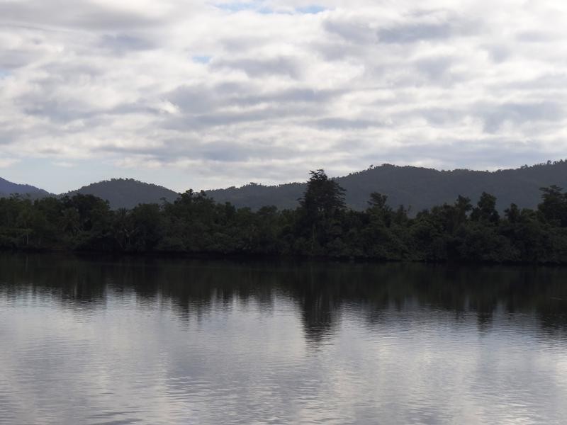 Lot 57 & 49, 49 Corinda Street WebbQLD 4860, East Innisfail QLD 4860