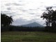 Lot 57 & 49, 49 Corinda Street WebbQLD 4860, East Innisfail QLD 4860