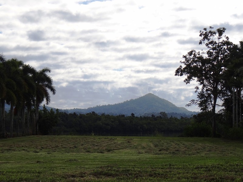 Lot 57 & 49, 49 Corinda Street WebbQLD 4860, East Innisfail QLD 4860