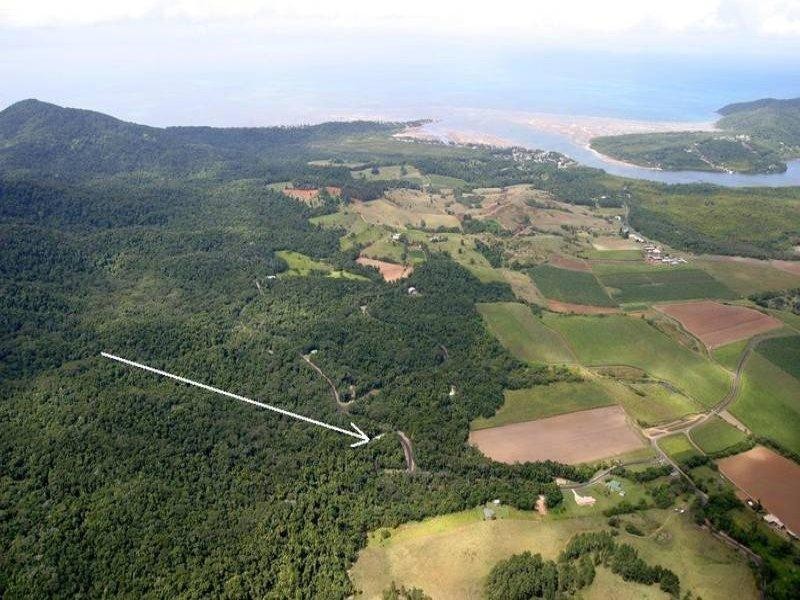 52 Waterfall Place, Innisfail QLD 4860