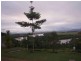 10 Johnston Road, Coquette Point QLD 4860