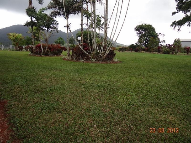 543 Utchee Creek Road, Mena Creek QLD 4871