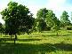 Innisfail QLD 4860