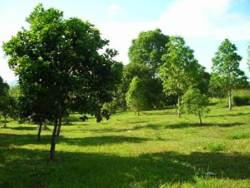 Innisfail QLD 4860