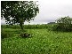 Innisfail QLD 4860