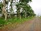 Mena Creek QLD 4871
