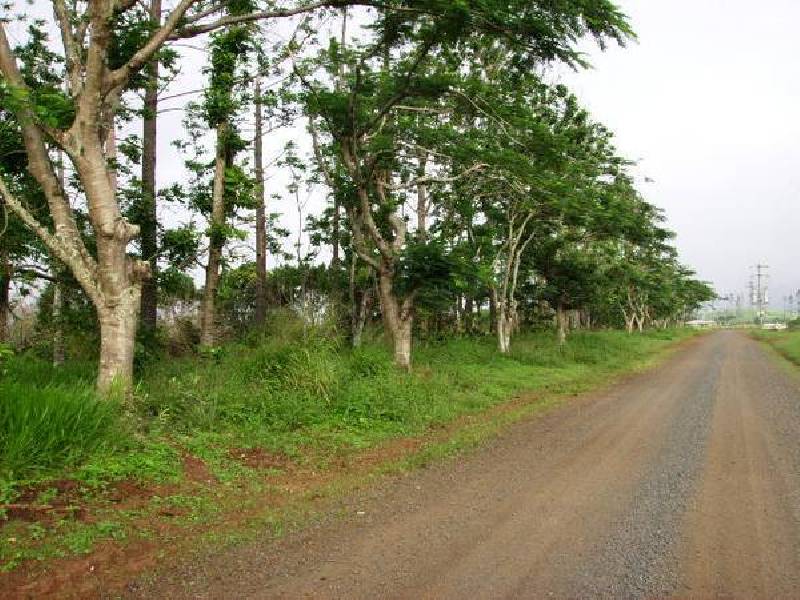 Mena Creek QLD 4871