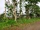 Mena Creek QLD 4871