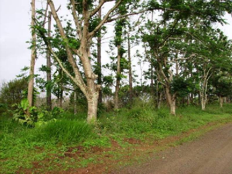 Mena Creek QLD 4871