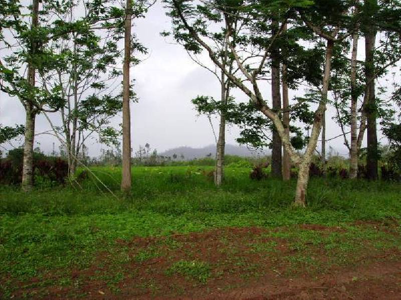 Mena Creek QLD 4871