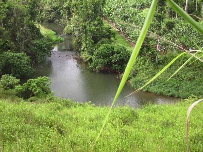 Mena Creek QLD 4871
