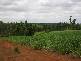 Mena Creek QLD 4871