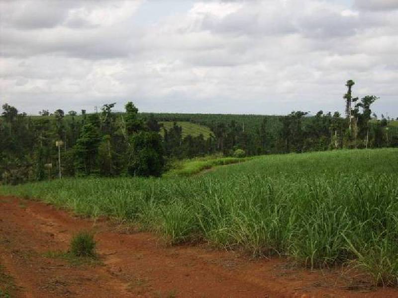 Mena Creek QLD 4871