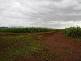 Mena Creek QLD 4871