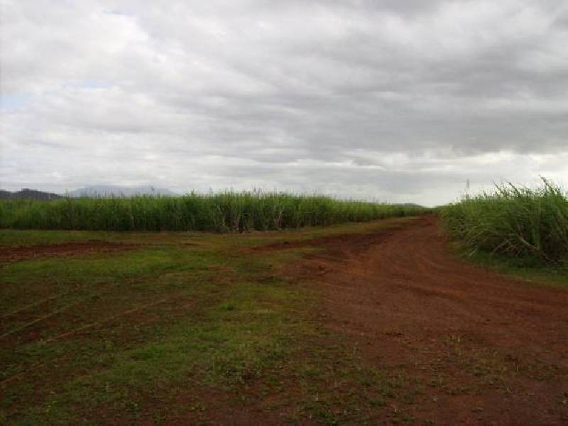 Mena Creek QLD 4871