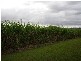 Mena Creek QLD 4871