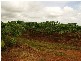Mena Creek QLD 4871