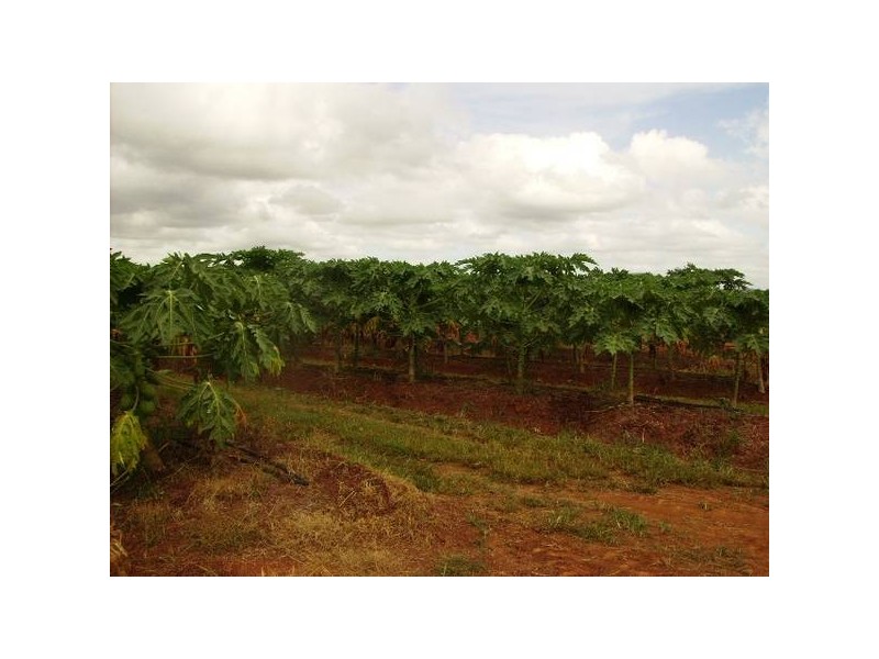 Mena Creek QLD 4871