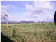 Mena Creek QLD 4871