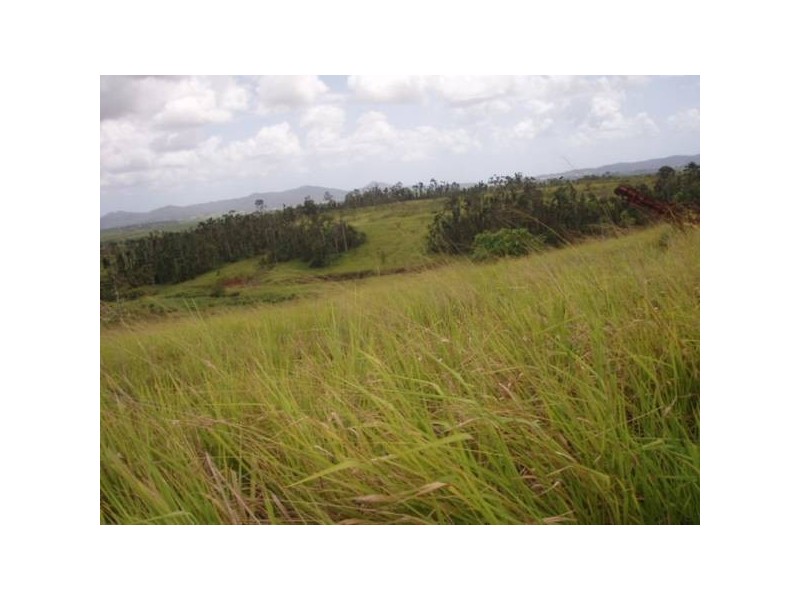 Innisfail QLD 4860