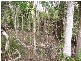Mena Creek QLD 4871