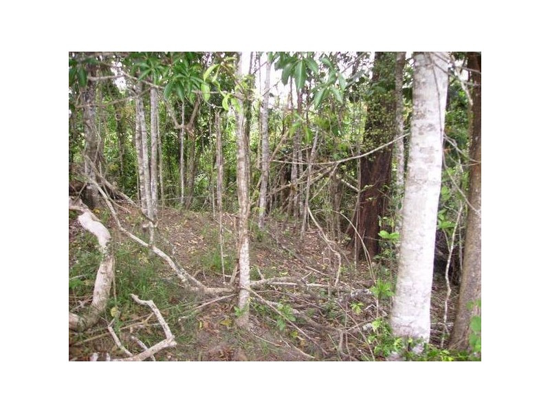 Mena Creek QLD 4871