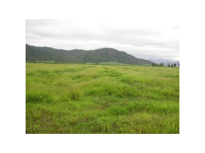 Mena Creek QLD 4871