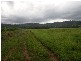 Mena Creek QLD 4871