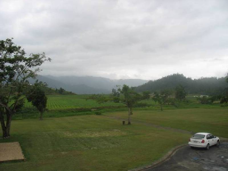 19 HARWOOD, Babinda QLD 4861