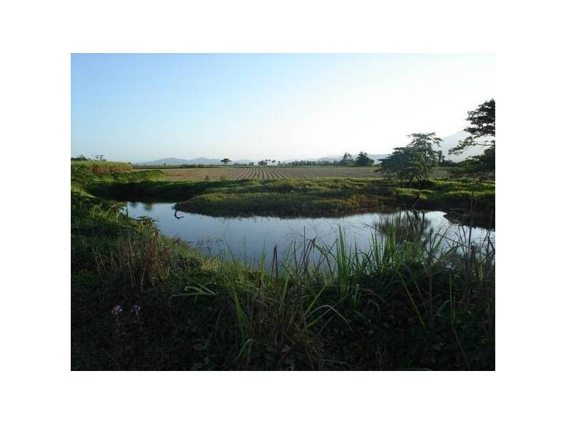 84 Cottone Road, Babinda QLD 4861