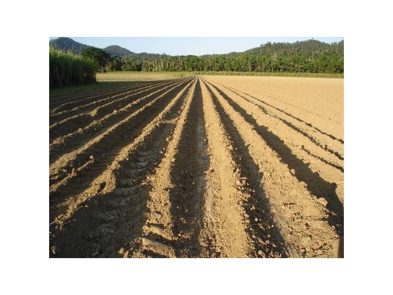 84 Cottone Road, Babinda QLD 4861