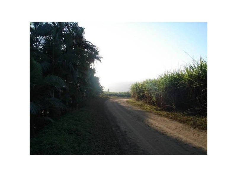 84 Cottone Road, Babinda QLD 4861