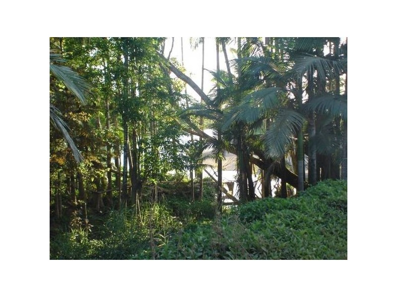 84 Cottone Road, Babinda QLD 4861