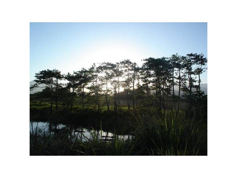 84 Cottone Road, Babinda QLD 4861