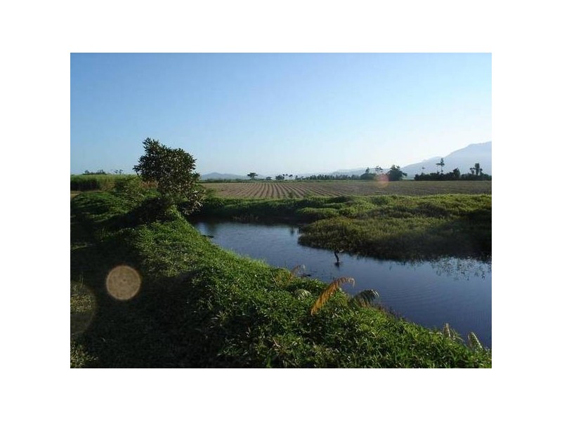 84 Cottone Road, Babinda QLD 4861