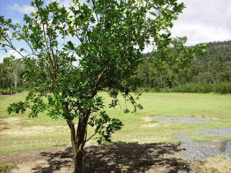 Bramston Beach QLD 4871