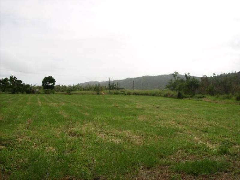 Etty Bay QLD 4858