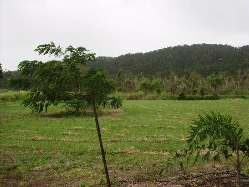 Etty Bay QLD 4858