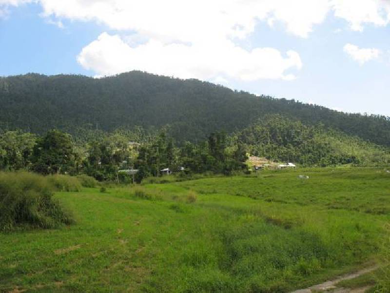 Christian St, Babinda QLD 4861