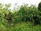 Innisfail QLD 4860