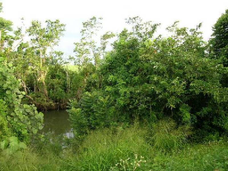 Innisfail QLD 4860