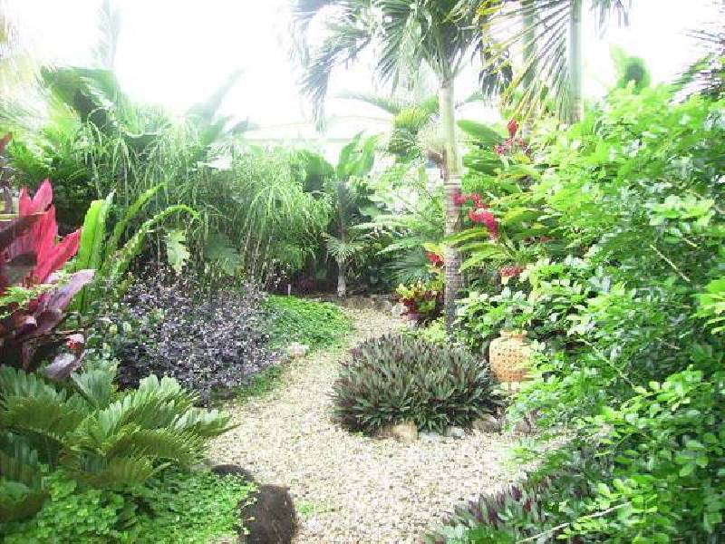 Innisfail Estate QLD 4860