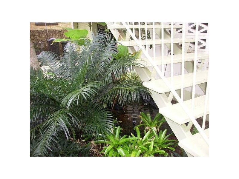 Innisfail Estate QLD 4860