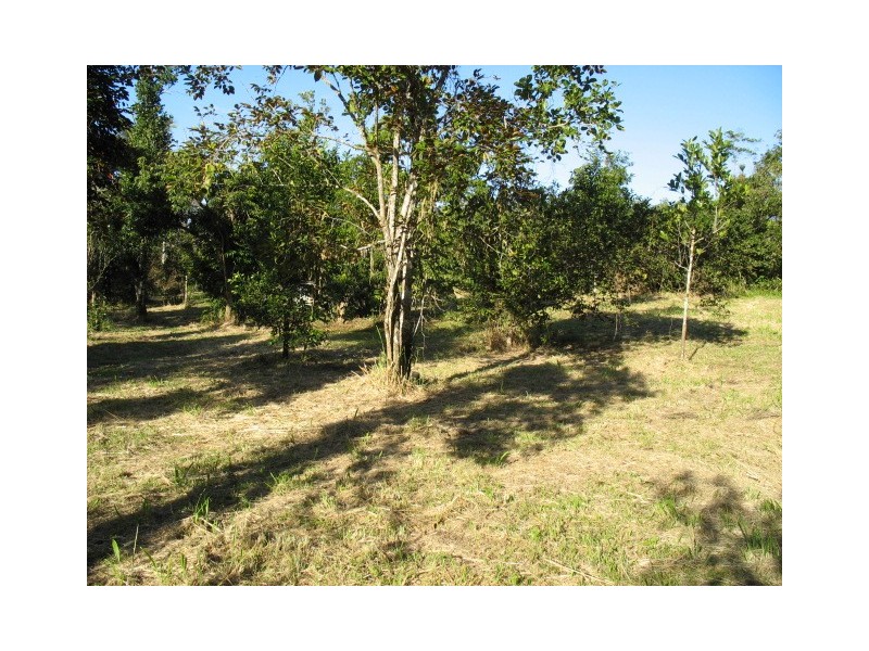 Lot 223 Fishers Ck Rd, Nerada QLD 4860