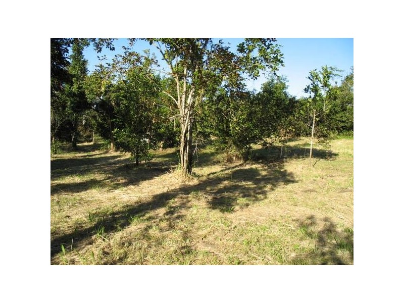 Lot 223 Fishers Ck Rd, Nerada QLD 4860