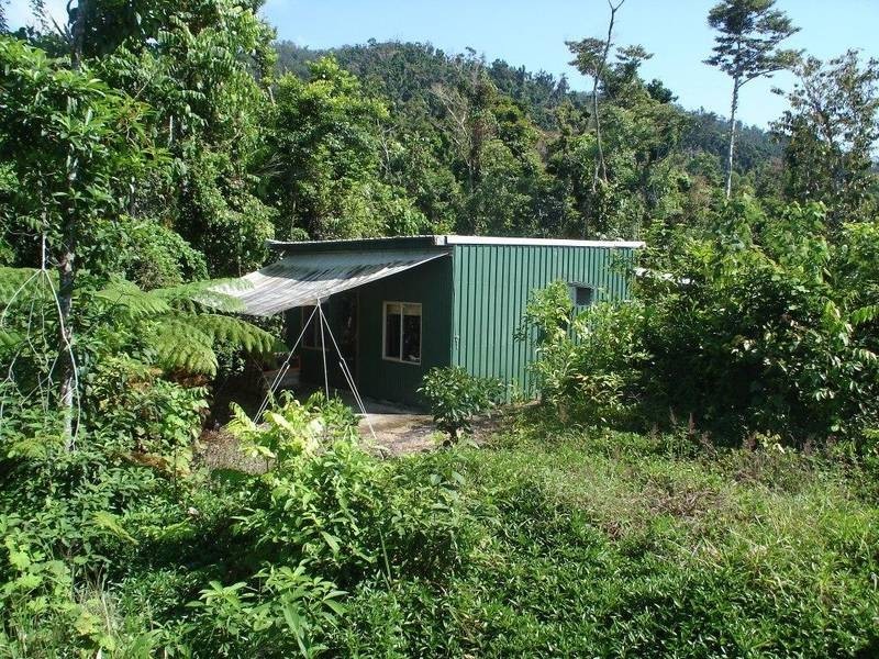 Lot 1, 1 Wilkie Street, Babinda QLD 4861