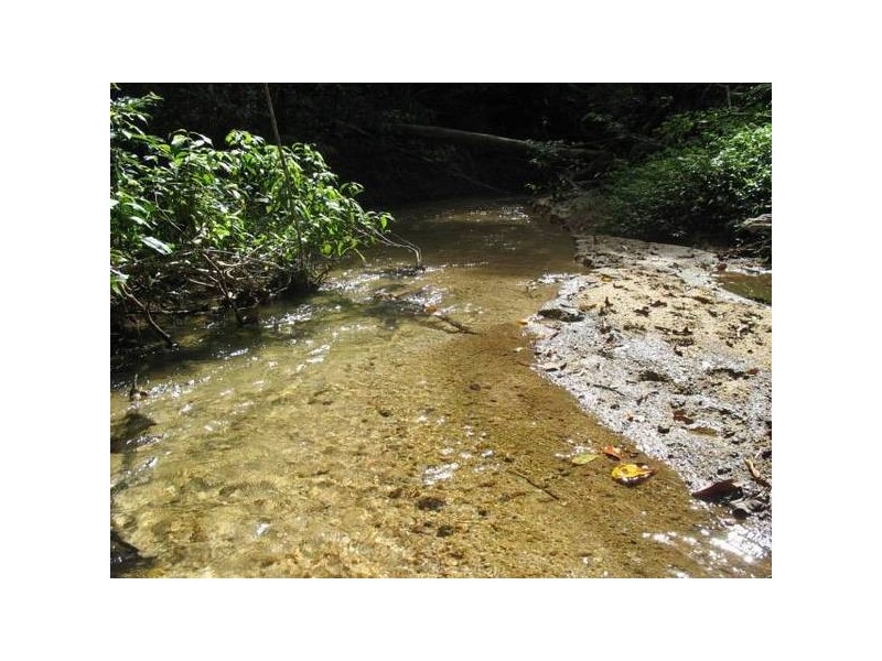 RN 78 Cope Road, Miriwinni QLD 4871